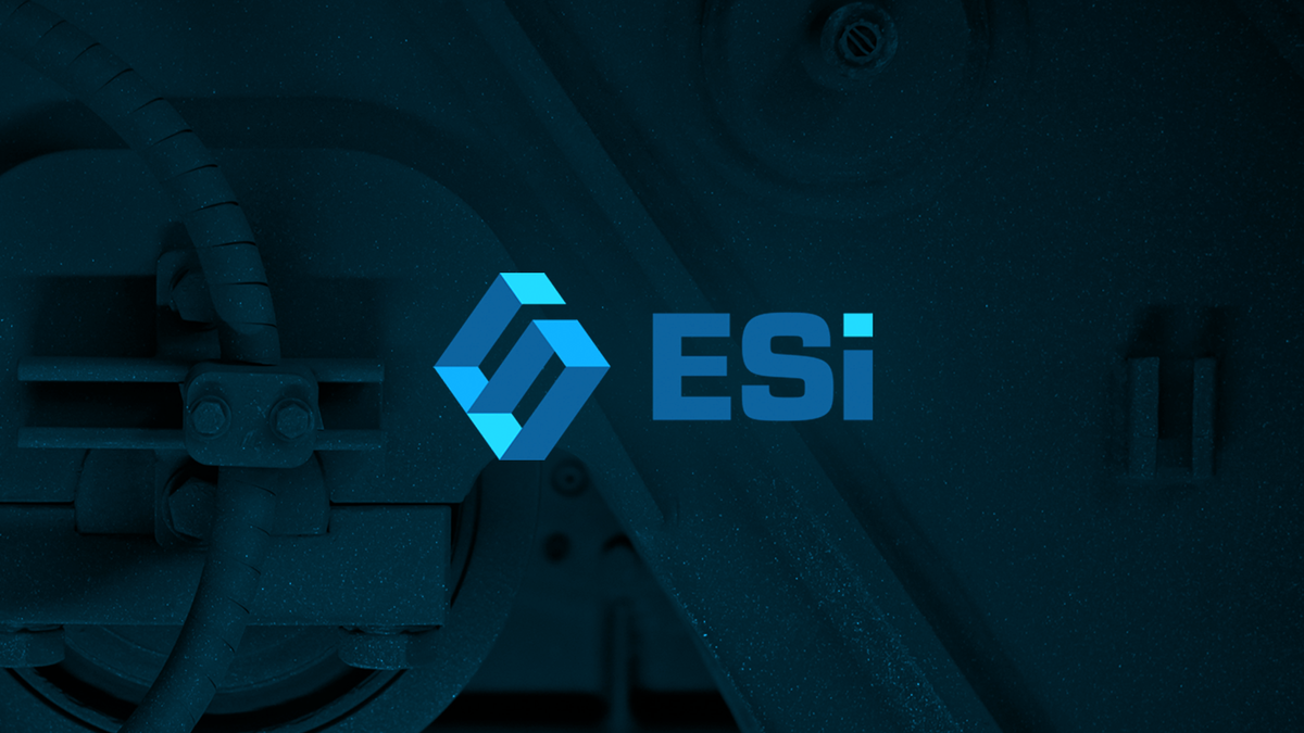 Case Study: Engineering Systems Inc.